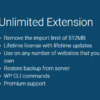 All-in-One WP Migration Unlimited Extension