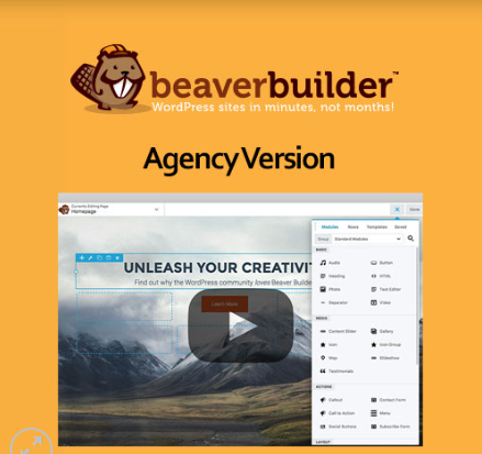 Beaver Builder Plugin – Agency Version