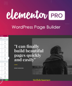 Elementor pro wordPress page builder