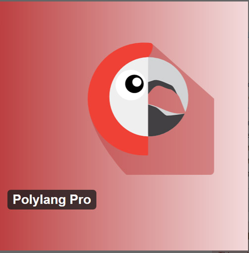 Polylang Pro