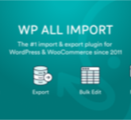 WP All Export – WooCommerce Export Add-On Pro