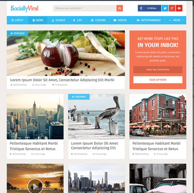 MyThemeShop SociallyViral WordPress Theme