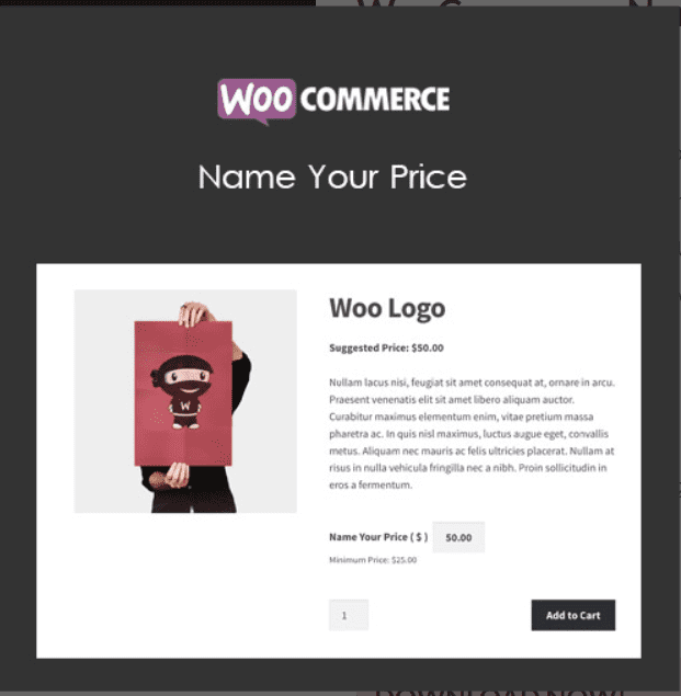 WooCommerce Name Your Price